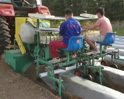 雙壟旋耕起壟施肥開穴移栽澆水覆膜一體機(jī)