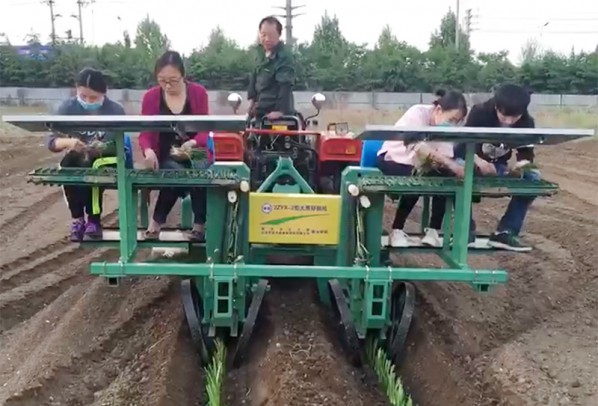 大蔥移栽機(jī)