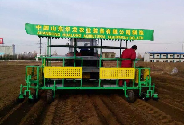 構(gòu)樹(shù)、桑樹(shù)、樹(shù)苗移栽機(jī)