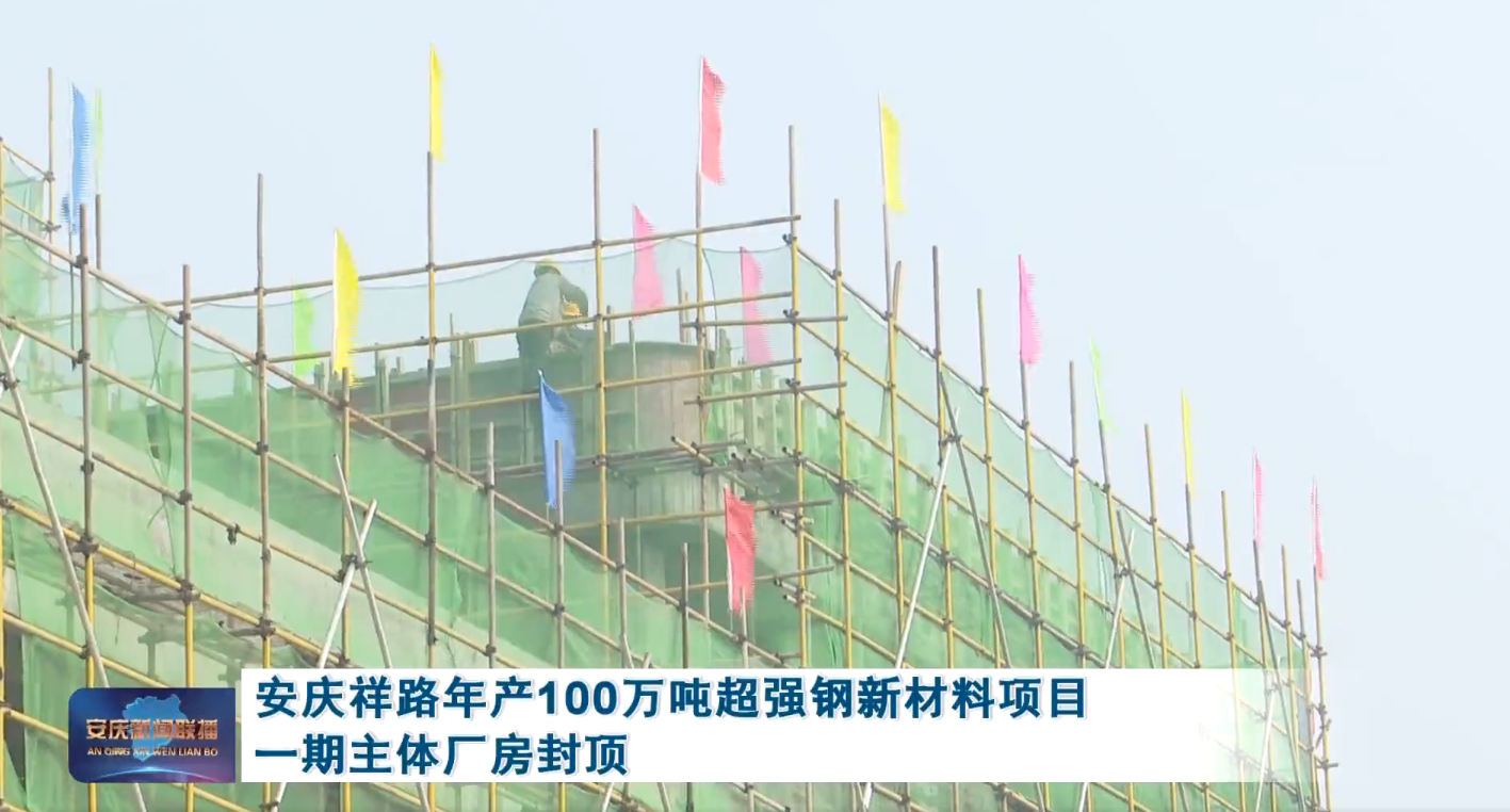 企業(yè)熱點|韋伯電梯助推長三角合作共建產(chǎn)業(yè)園加速蓄勢