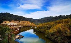 熱點(diǎn)聚焦｜118臺！貴州天鵝堡森林公園項(xiàng)目簽約韋伯